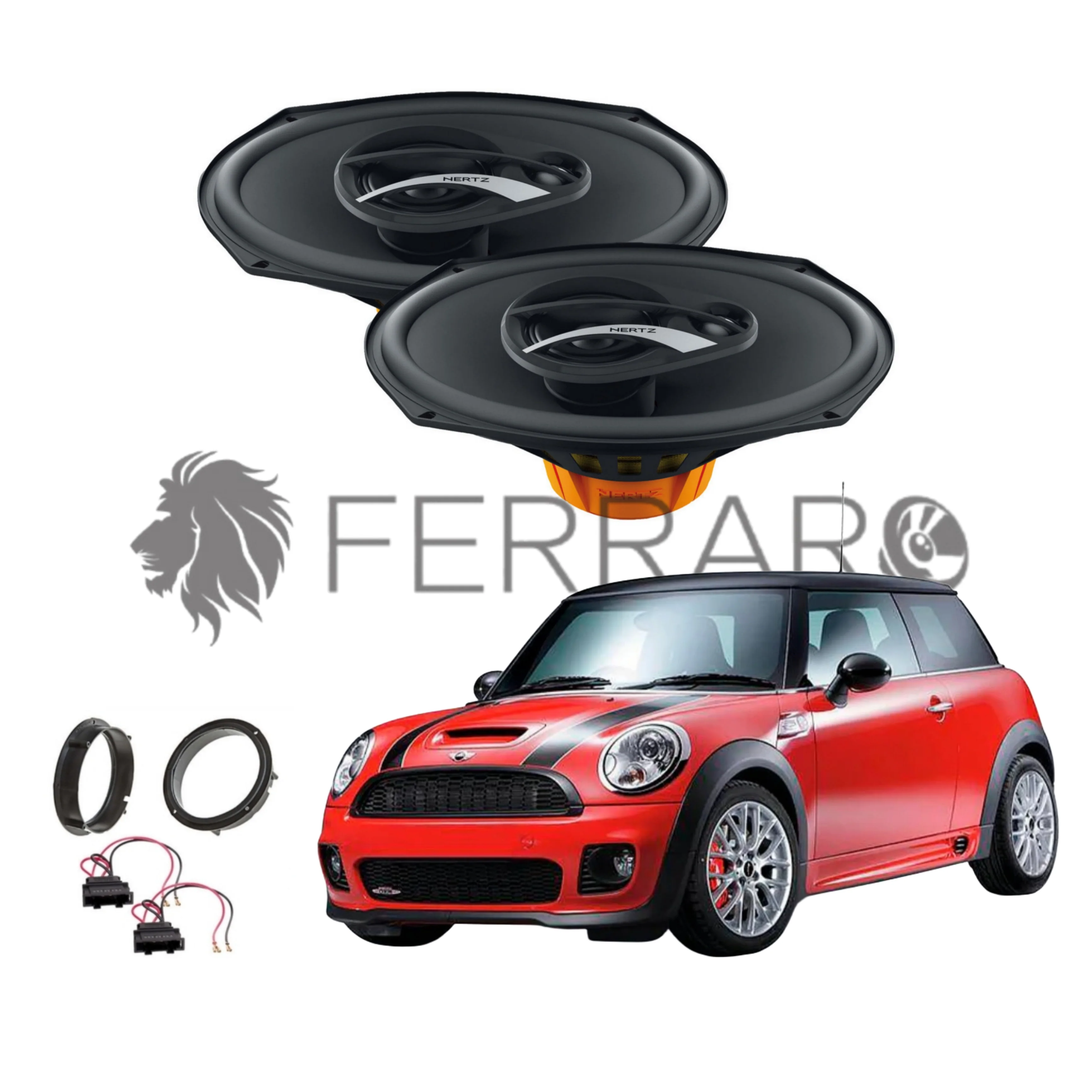 Miniatura 1